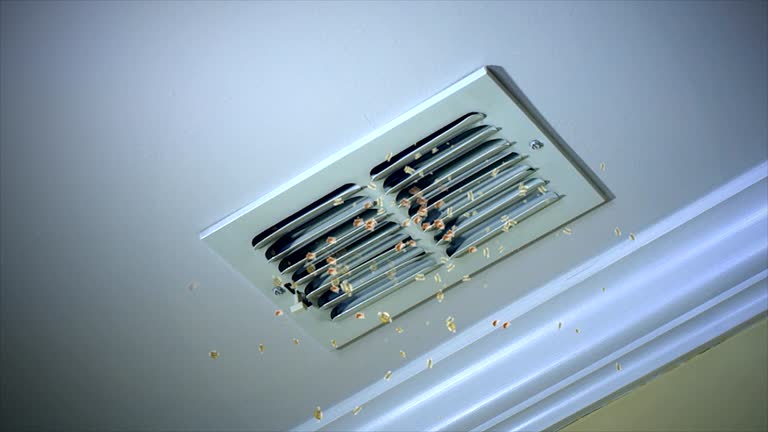 Best Affordable HVAC Duct Cleaning  in Mansura, LA