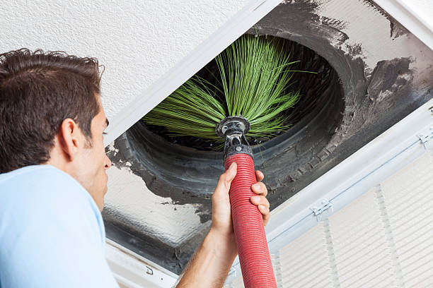 Best Home Air Vent Cleaning  in Mansura, LA